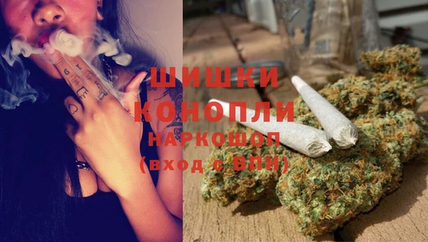 прущие крисы Абаза