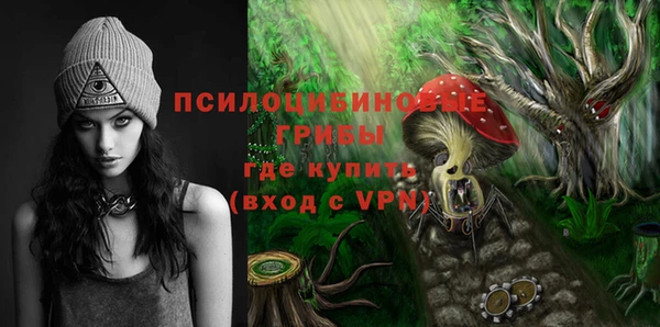 прущие крисы Абаза