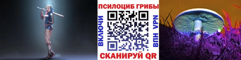 ОМГ ОМГ ссылка  Новая Усмань  Галлюциногенные грибы мухоморы 